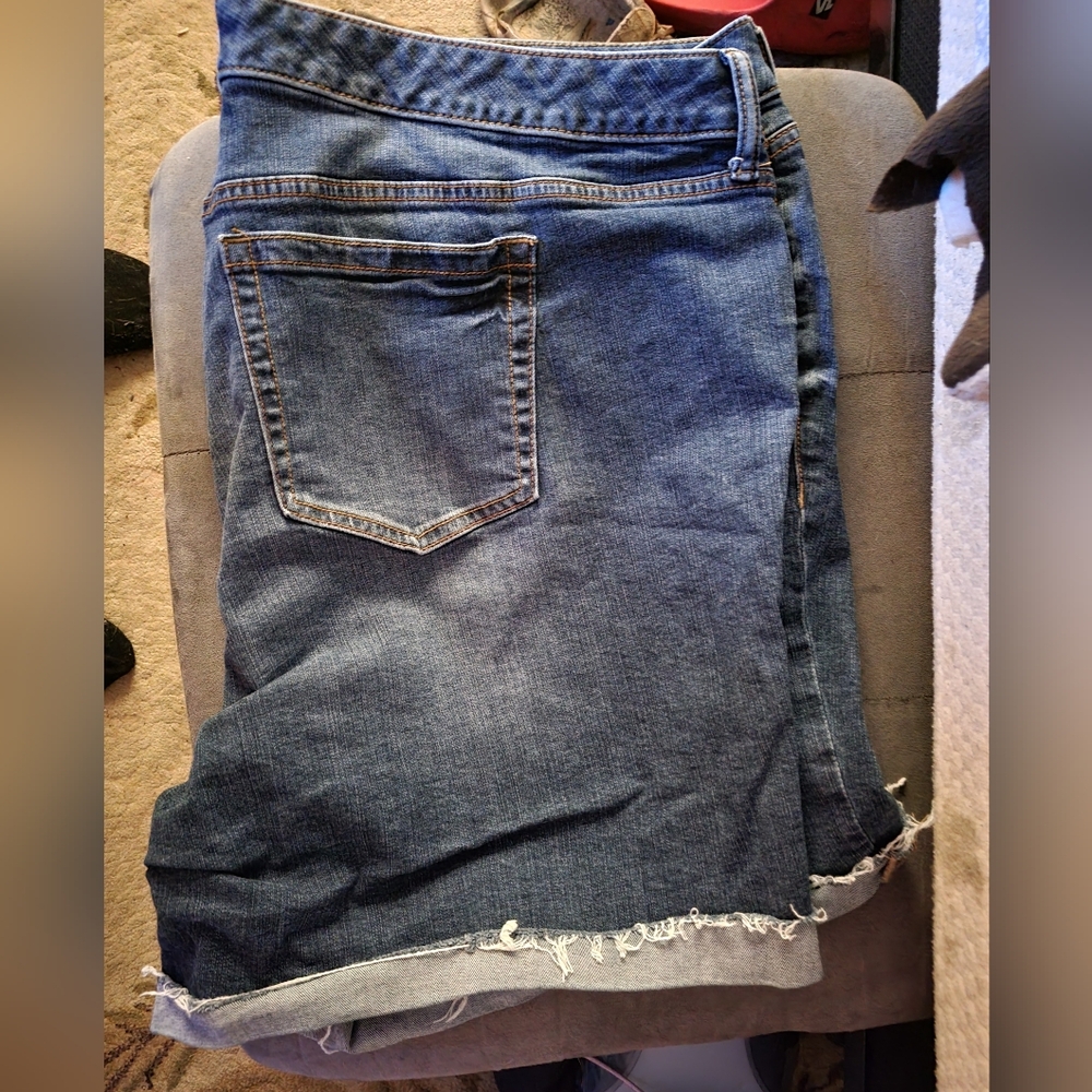 Torrid Shorts Size 26w BUY BOTH SIZE 26W SHORTS FOR 30$